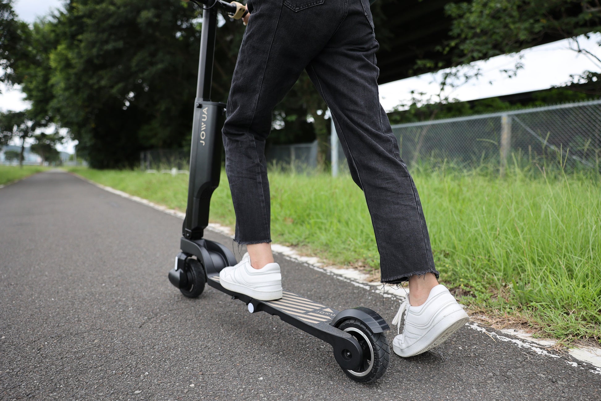 Folding Electric Scooter LR-10